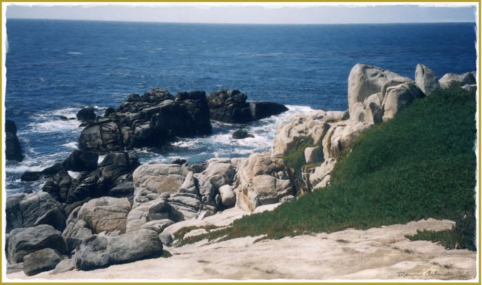 Cliffs at Montrey Bay